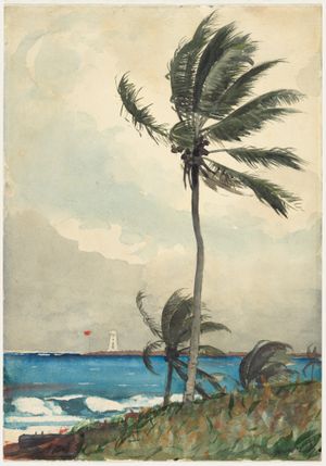 Homer_Palm-Tree-Nassau_1898.jpg